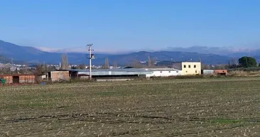 Dehşet çiftliğinden kan donduran detaylar: 18 yaşındaki kıza akılalmaz işkence! Ejder Salih’ ve çetesi parmaklarını kesti