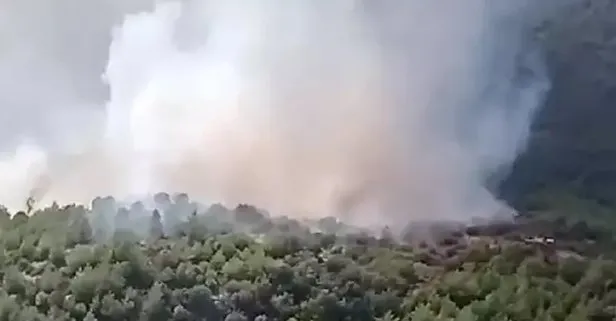 Son dakika: İzmir'de orman yangını!
