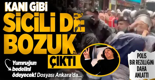 Soruşturma başlatıldı! İşte polise yumruk atan terör destekçisi Salihe Aydeniz'in işlediği suçlar...