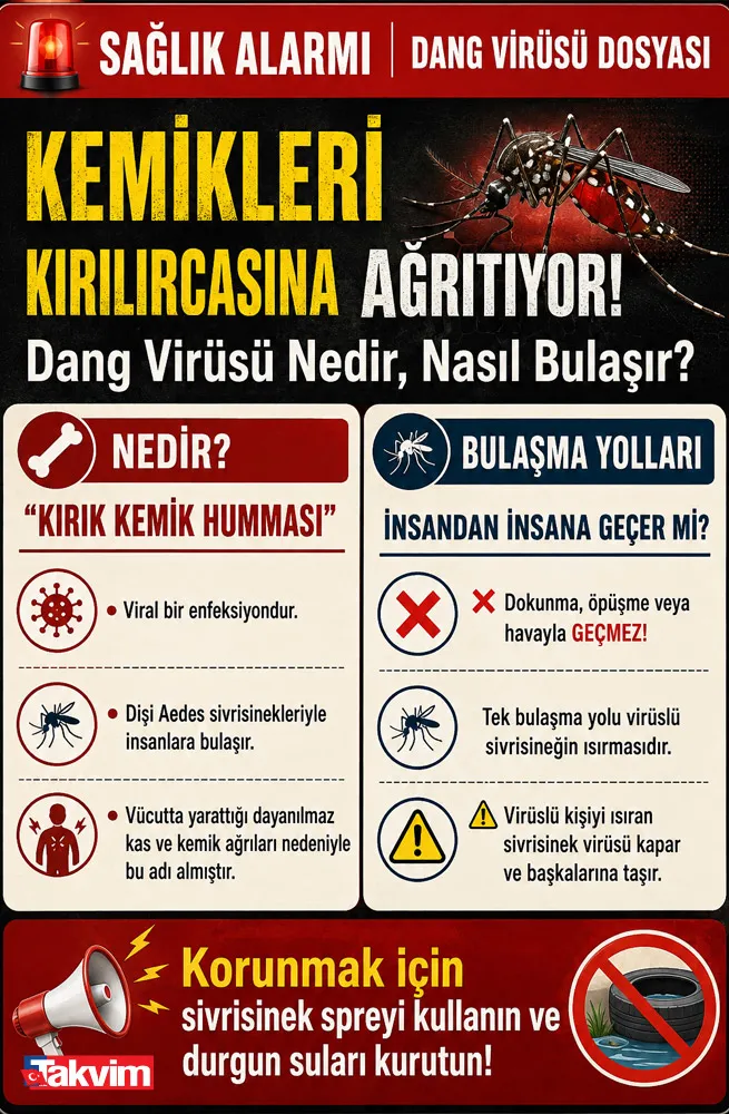 1786726904629.jpg Dang virüsü nedir, bulaşıcı mı? Aramızdaki o canlıya dikkat edin!-2