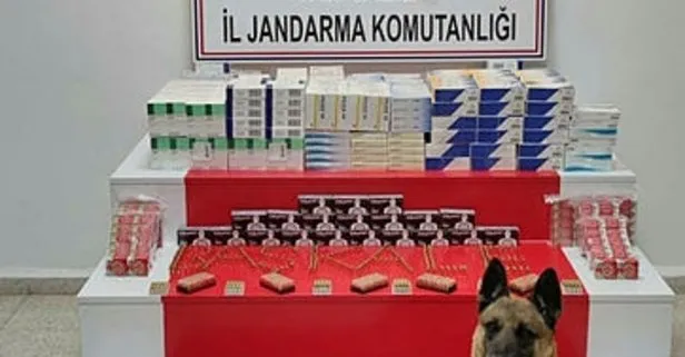 Van'da araçtan cephanelik çıktı