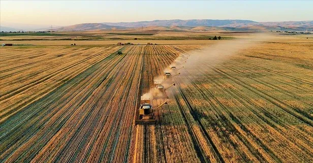 212 ülkeye tarım ürünü ihraç ettik