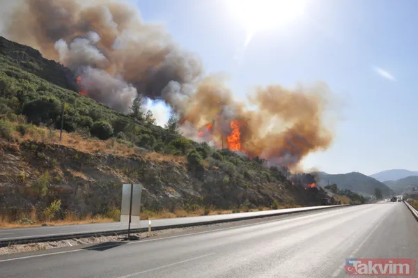 Marmaris'teki yangını '2 çocuk çıkardı' şüphesi: İfadeleri pedagog eşliğinde alınacak - 23