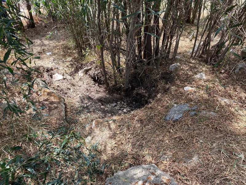 Nihal Babayiğit'in cesedinin gömüldüğü yer (İHA)