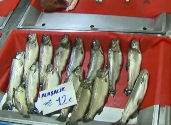 balik-fiyatlari-ne-kadar-oldu-guncel-balik-fiyatlari-2021-levrek-hamsi-istavrit-somon-mezgit-cinekop-cupra-alabalik-1638502772031.jpg Balık fiyatları ne kadar oldu? Güncel balık fiyatları 2021 Levrek, hamsi, istavrit, somon, mezgit, çinekop, çupra, alabalık...-4