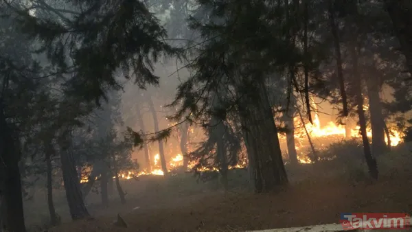 Kan kaybeden PKK, Türkiye'nin ormanlarını yakıyor: Yunanistan'da eğitim gördüler hedeflerinde turistik bölgeler var - 38