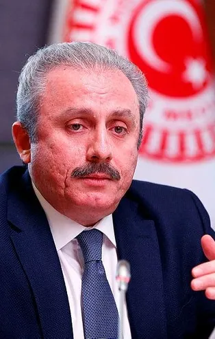 TBMM Başkanı Şentop'tan İzlanda'ya tepki