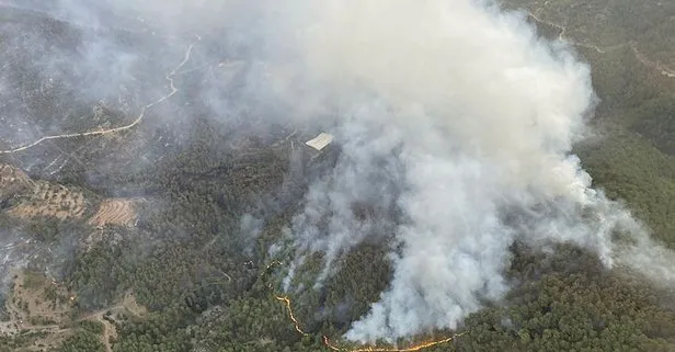 Tarım ve Orman Bakanı Bekir Pakdemirli duyurdu: Bugün Türkiye genelinde 20 orman yangını çıktı