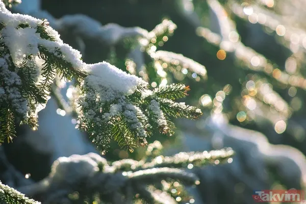 Kışın Kilo Aldıran Hata: İşte Akşam Yemeği İçin En İdeal Saat - 3