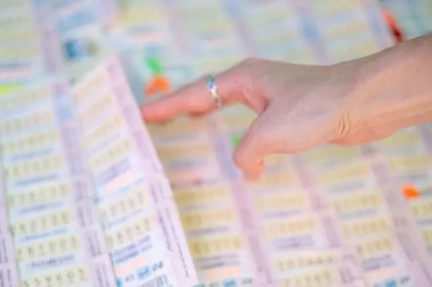 milli-piyango-sahte-bilet-sorgulama-ekrani-2024-sahte-bilet-nasil-anlasilir-damgasiz-muhursuz-bilet-sahte-midi-1704028471040.jpg Sahte bilet nasıl anlaşılır? Milli Piyango sahte bilet sorgulama ekranı 2024: Damgasız, mühürsüz bilet sahte midir?-2