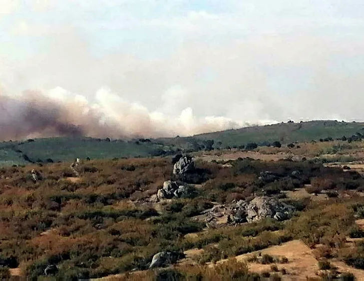 Bulgaristan sınırında orman yangını