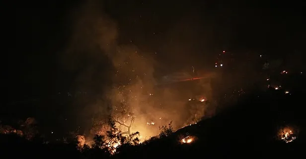 OGM duyurdu! İzmir'deki orman yangını kontrol altına alındı