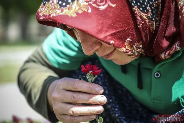 Dünyada sadece Ankara Gölbaşı'nda yetişiyor! 'Sevgi çiçeği' özel koruma altında - 12