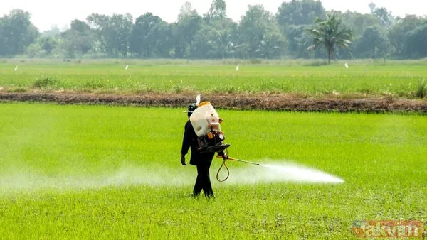 Bilimsel Araştırmalar Ne Diyor? 💧Hızlı Musluk Suyu Yıkama: %40–60 Arası Azalma Sağlıyor "Effectiveness Of Different Washing Strategies On Pesticide Residue...
