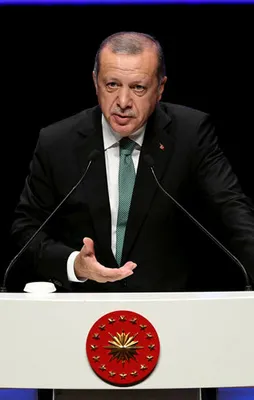 Erdoğan: Diyanet bu konuda çok geç kaldı