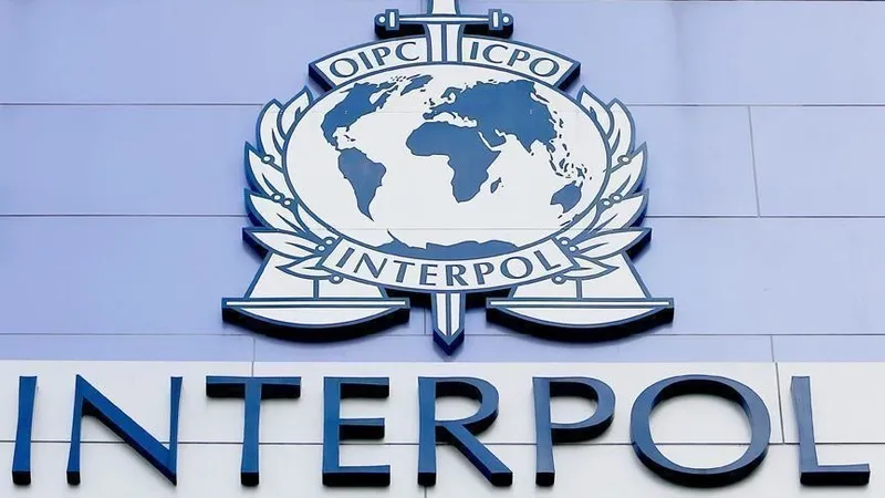 İngiltere Interpol Genel Sekreter adayı Stephen Kavanagh'dan Türkiye'nin terörle mücadeledeki rolüne vurgu: "Kilit ortaklarından birisi"-5