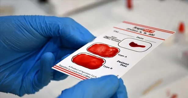 Dikkat kan grubunuz MAL olabilir! 50 yıl sonra yeni keşif