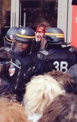 Fransa'da polis terörü