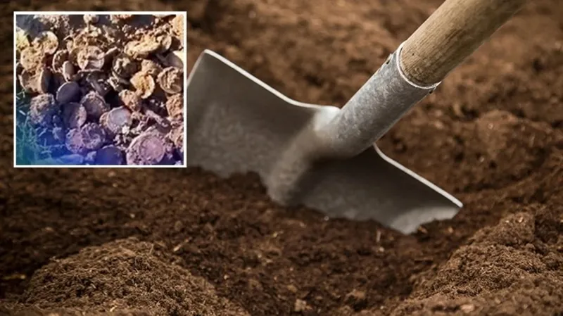 7'den 70'e Herkesi Şaşırtan Keşif Ortaya Çıktı! Tarladan Adeta Altın Fışkırdı!-7