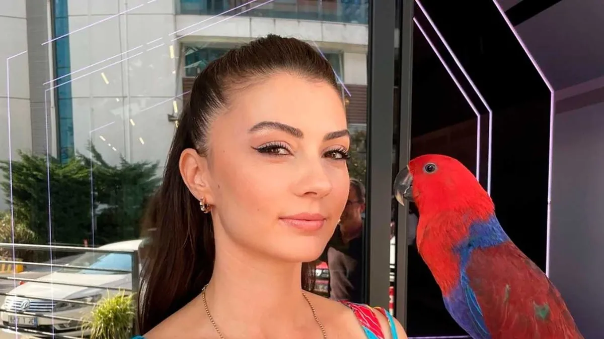 Burcu Özberk takipçi satın aldığını kendi ağzıyla ortaya çıkardı!