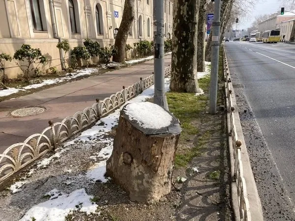 chpli-ibbnin-ciragan-caddesinde-kestigi-112-cinar-agacinin-hikayesi-tarihci-mehmet-dilbaz-a-haberde-anlatti-1647350028475.jpg CHP'li İBB'nin Çırağan Caddesi'nde kestiği 112 çınar ağacının hikayesi! Tarihçi Mehmet Dilbaz, A Haber'de anlattı-4