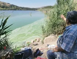 Eymir Gölü’ndeki manzaraya ODTÜ’den açıklama