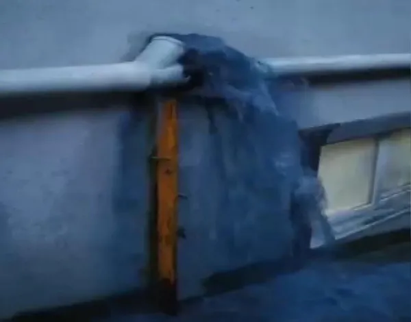 esenyurtta-mavi-su-bu-defa-sokaklara-akti-mahalleli-sokak-kopeklerinin-olmesine-isyan-etti-1622277222031.jpg Esenyurt'ta mavi su bu defa sokaklara aktı! Mahalleli sokak köpeklerinin ölmesine isyan etti-6