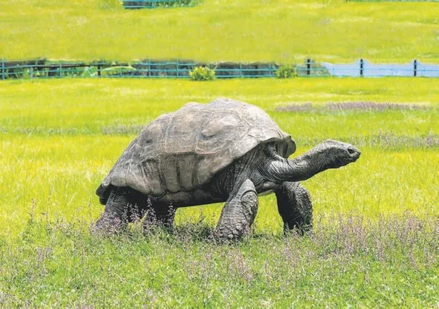 17-yasindaki-cam-kemik-hastasi-hilmi-aydin-bir-grup-saldirganin-hedefi-oldu-ben-seni-zevk-icin-dovuyorum-1670112130816.jpeg 17 yaşındaki cam kemik hastası Hilmi Aydın bir grup saldırganın hedefi oldu: Ben seni zevk için dövüyorum-12