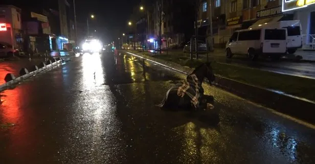 İstanbul Arnavutköy’de minibüs ata çarptı