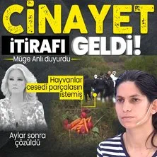 Müge Anlı Mehmet Ali Özdemir olayında sıcak gelişme! İtiraf geldi: Tüm aile işin içinde! Havyanlar cesedi yesin diye meyve koymuşlar