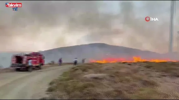 Paşalimanı Adası'nda yangın