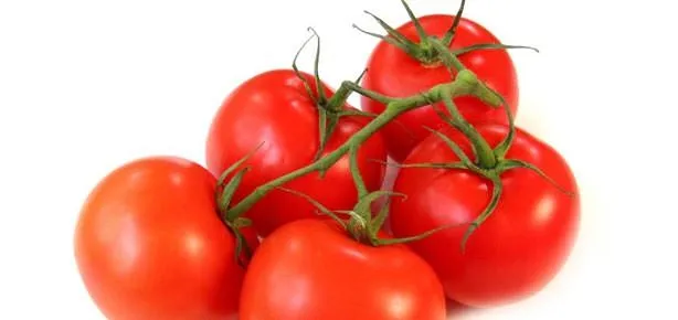 Domates zam şampiyonu