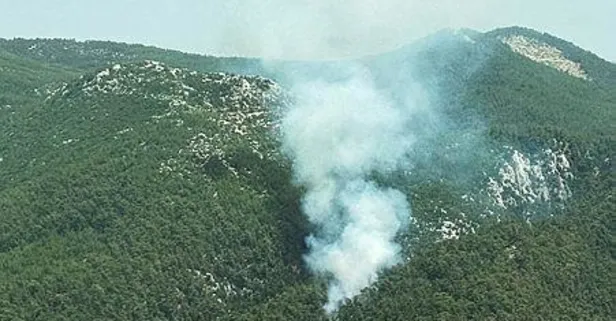 Muğla Milas'ta orman yangını! 3,5 saatte kontrol altına alındı