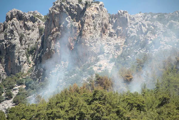 Son dakika: Antalya Serik'te orman yangını!-1