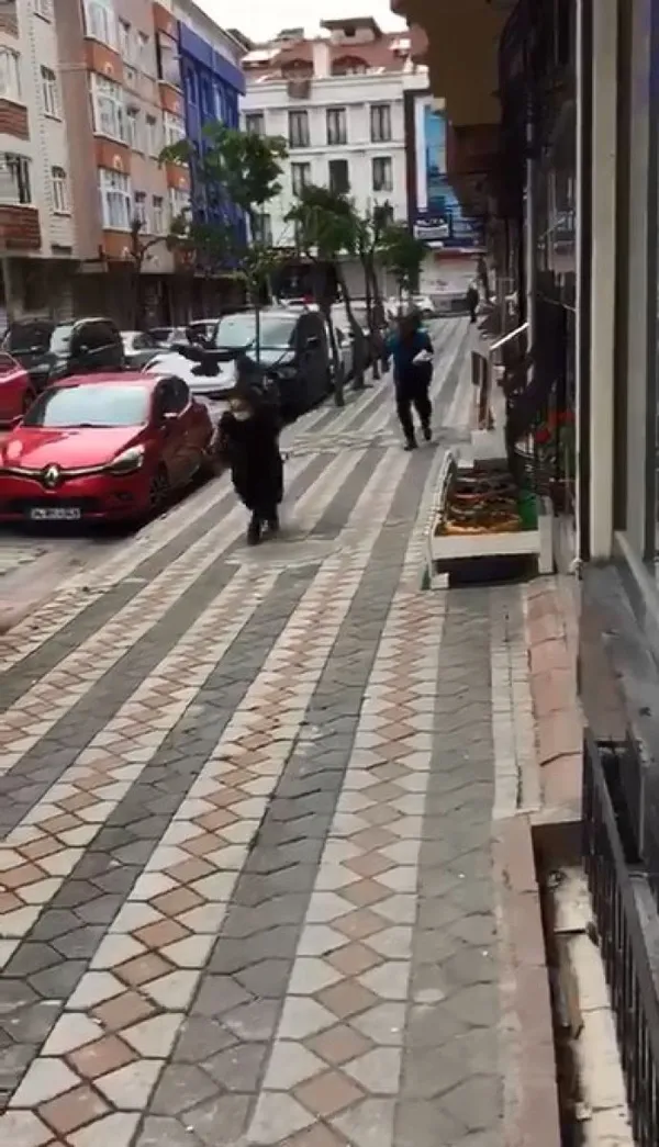 yavru-kargayi-kedilerden-kurtardi-iki-karganin-saldirisina-ugradi-1622805512032.jpg Yavru kargayı kedilerden kurtardı! İki karganın saldırısına uğradı-6