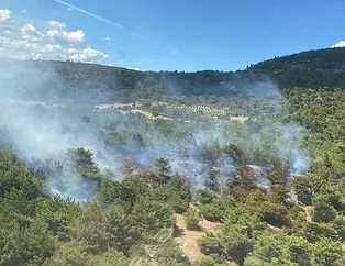 İzmir’de orman yangını!