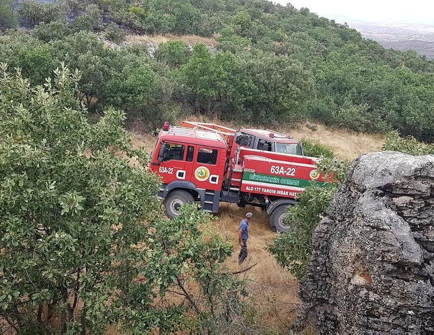 Diyarbakır’daki örtü yangını söndürüldü