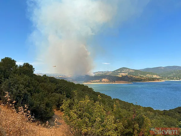 Havadan ayrı karadan ayrı müdahale! Çanakkale'de yangın ormanlık alana sıçradı! - 2