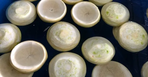 Uzmanlar romatizmaya iyi gelen 3 besini sıraladı!