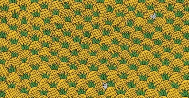 Zeka testi: Ananasların içindeki 4 mısır nerede? 867 kişiden 33'ü 15 saniyede bulabildi