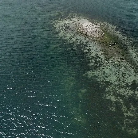 Sapanca Gölü alarm veriyor!