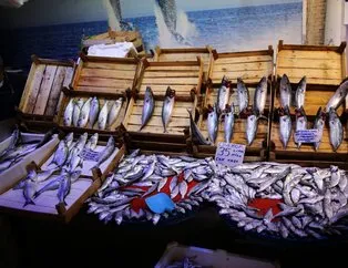 Tezgahlardaki balık bereketi fiyatlara yansıdı