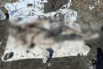 Adana'da çuval dolusu vahşet! Cinayet telefon sinyalinden çözüldü