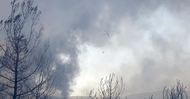 Türkiye'nin dört bir yanında orman yangınları! Ekipler havadan ve karadan müdahale ediyor | Son durum ne?