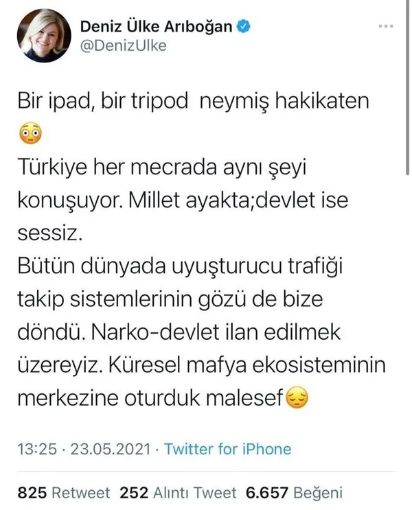 sedat-pekeri-kullanan-prof-dr-deniz-ulke-aribogan-geri-adim-atinca-twitterda-alay-konusu-oldu-1622062549183.jpg