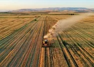 İzinsiz kiralayana hapis şoku! Resmen harekete geçildi