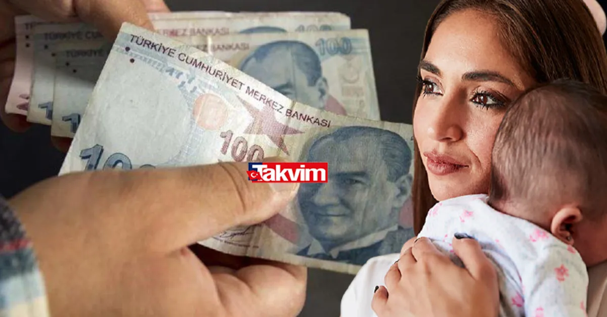 Kadınlara Devlet Desteği Sosyal Yardımlar