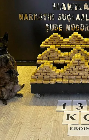 Depoya gizlenen 132 kilo eroini 'Ayzek' buldu
