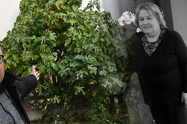 Sivrisinek sokması sonucu hayatını kaybetmişti! Acı detaylar ortaya çıktı