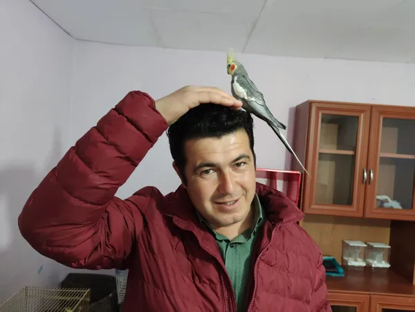 sultan-papagani-bitik-her-sabah-evdekileri-olurum-turkiyem-parcasiyla-uyandiriyor-1618294854329.jpg Sultan papağanı Bitik her sabah evdekileri Ölürüm Türkiyem parçasıyla uyandırıyor-7